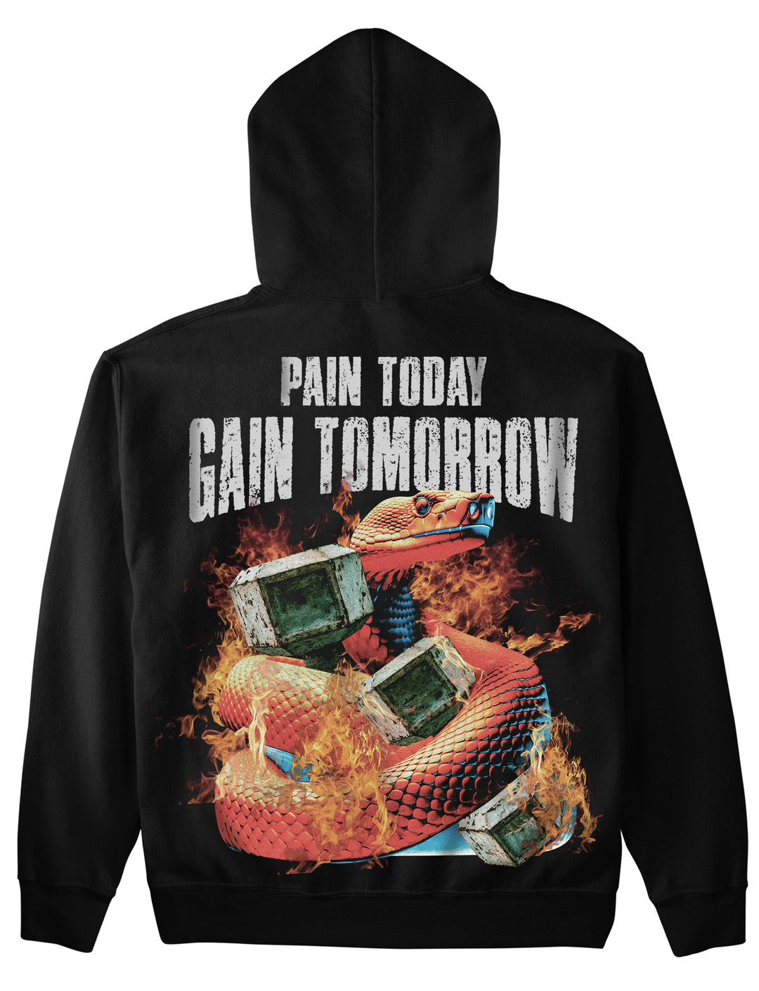 Pain Today (Backprint) Hoodie